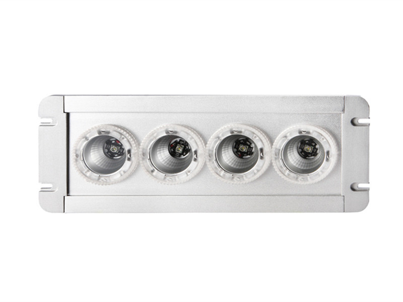 NEF9121應(yīng)急頂燈