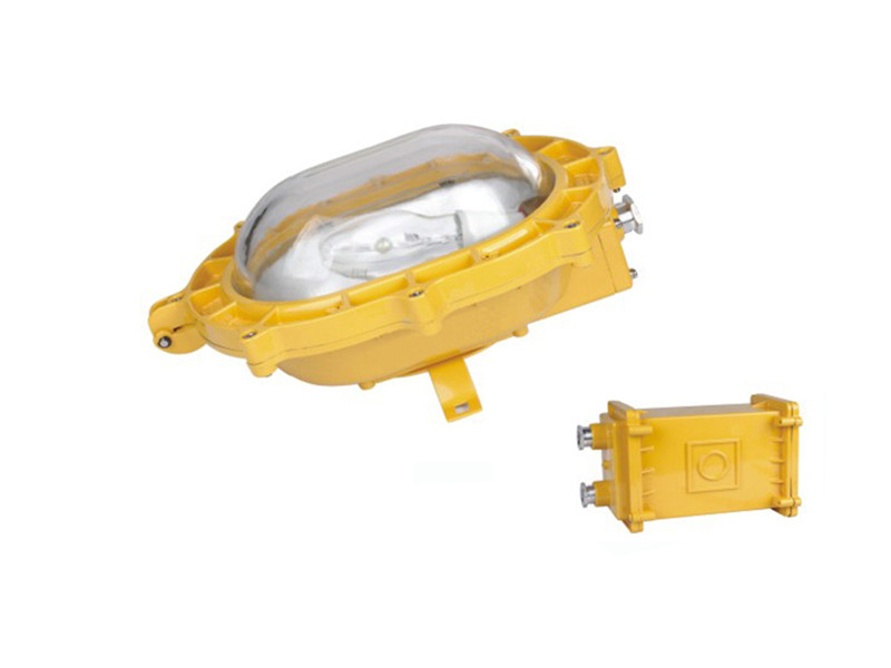 BFE8120內(nèi)場(chǎng)防爆應(yīng)急泛光燈